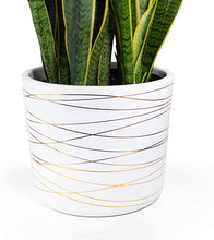 Load image into Gallery viewer, 12 Inch Ceramic Plant Pot - Matte White with Metallic Gold Stripes
