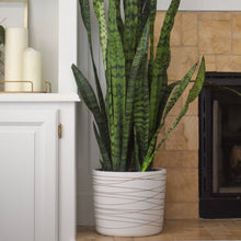 Load image into Gallery viewer, 12 Inch Ceramic Plant Pot - Matte White with Metallic Gold Stripes