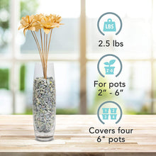 Load image into Gallery viewer, Decorative Pebbles - Blue, Green, Gray - 5-10 mm - 2.5lb Bag