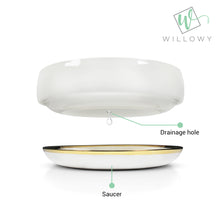 Load image into Gallery viewer, 10 Inch Succulent Bowl with Saucer