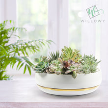 Load image into Gallery viewer, 10 Inch Succulent Bowl with Saucer