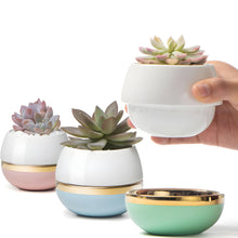 Load image into Gallery viewer, Small Succulent Pots with Drainage in Pastel Colors - Set of 3

