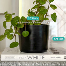 Load image into Gallery viewer, 6 Inch Black Ceramic Plant Pot
