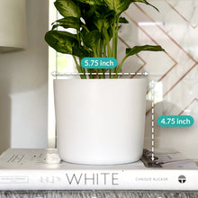 Load image into Gallery viewer, 6 Inch Matte White Ceramic Plant Pot

