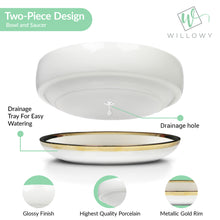 Load image into Gallery viewer, 6 Inch Succulent Pot with Drainage - Shallow Succulent Planter
