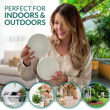 Load image into Gallery viewer, 6 Inch Matte White Ceramic Plant Pot Saucer (2 Pack)
