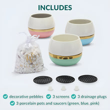 Load image into Gallery viewer, Small Succulent Pots with Drainage in Pastel Colors - Set of 3
