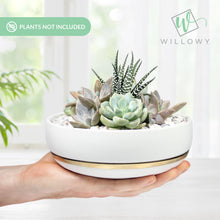 Load image into Gallery viewer, 6 Inch Succulent Pot with Drainage - Shallow Succulent Planter
