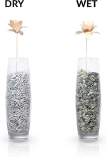 Load image into Gallery viewer, Decorative Pebbles - Blue, Green, Gray - 5-10 mm - 2.5lb Bag
