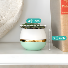 Load image into Gallery viewer, Small Succulent Pots with Drainage in Pastel Colors - Set of 3
