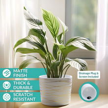Load image into Gallery viewer, 9 Inch Ceramic Plant Pot - Matte White with Gold Stripes
