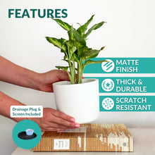 Load image into Gallery viewer, 6 Inch Matte White Ceramic Plant Pot
