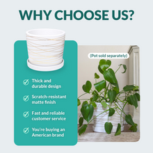 Load image into Gallery viewer, 6 Inch Matte White Ceramic Plant Pot Saucer (2 Pack)
