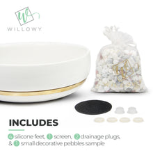 Load image into Gallery viewer, 6 Inch Succulent Pot with Drainage - Shallow Succulent Planter
