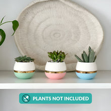 Load image into Gallery viewer, Small Succulent Pots with Drainage in Pastel Colors - Set of 3
