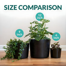 Load image into Gallery viewer, 6 Inch Black Ceramic Plant Pot
