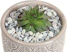 Load image into Gallery viewer, Decorative Pebbles - Blue, Green, Gray - 5-10 mm - 2.5lb Bag

