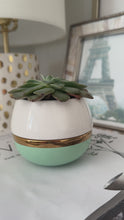 Load and play video in Gallery viewer, Small Succulent Pots with Drainage in Pastel Colors - Set of 3
