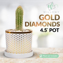 Load image into Gallery viewer, Small Pot Bundle - Gold - 6 Inch and 4.5 Inch pots
