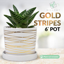 Load image into Gallery viewer, Small Pot Bundle - Gold - 6 Inch and 4.5 Inch pots
