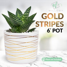 Load image into Gallery viewer, 6 Inch Gold Stripes Pot
