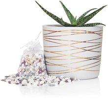 Load image into Gallery viewer, 6 Inch Gold Stripes Pot
