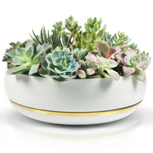 Load image into Gallery viewer, 10 Inch Succulent Bowl with Saucer
