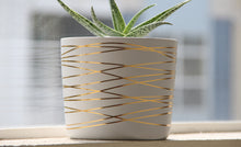 Load image into Gallery viewer, 6 Inch Gold Stripes Pot

